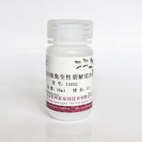变性蛋白裂解液  C1052   厂家直销，提供OEM定制服务，大包装更优惠 