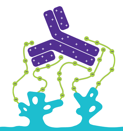 纯化工艺的原材料管理之层析填料的安全供货
