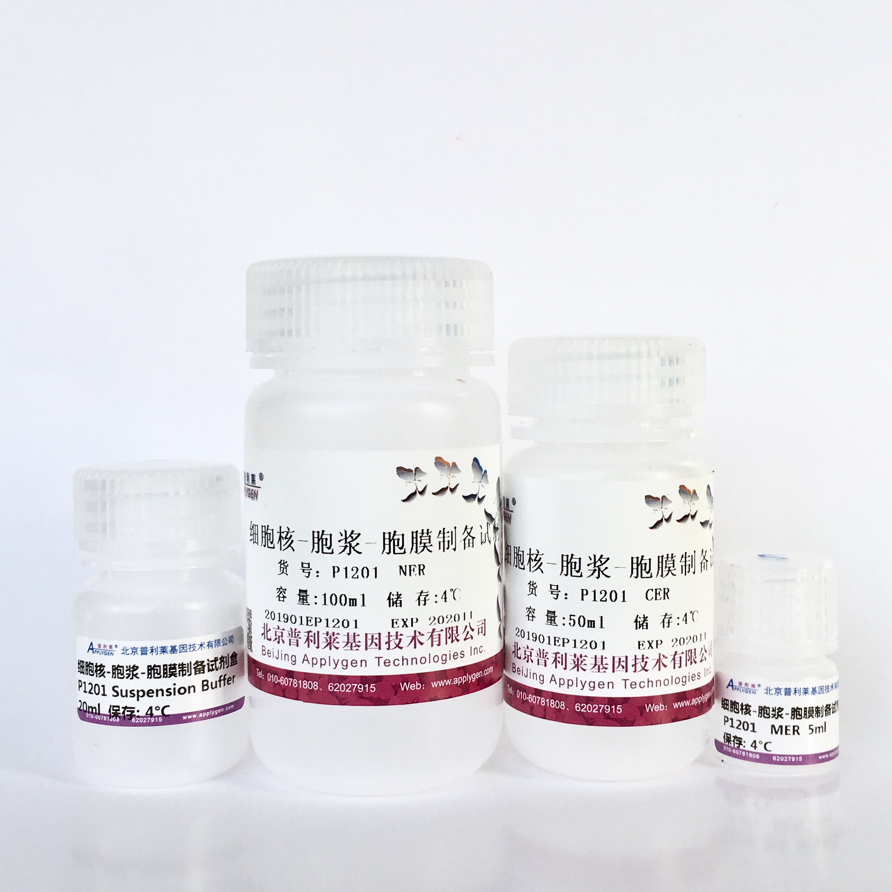 细胞核-胞浆蛋白-胞膜制备试剂盒  P1201   厂家直销，提供OEM定制服务，大包装更优惠 