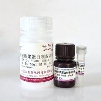 胞核胞浆蛋白制备试剂盒 (Nuclear-Cytosol Extraction Kit)  P1200