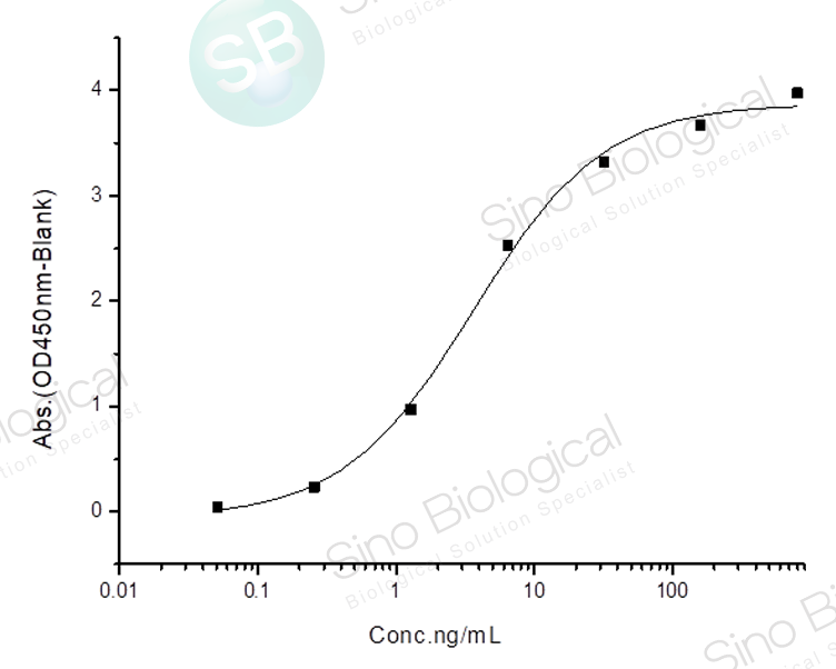 新冠病毒 SARS-COV-2 S蛋白 (RBD, rabbitFc Tag)