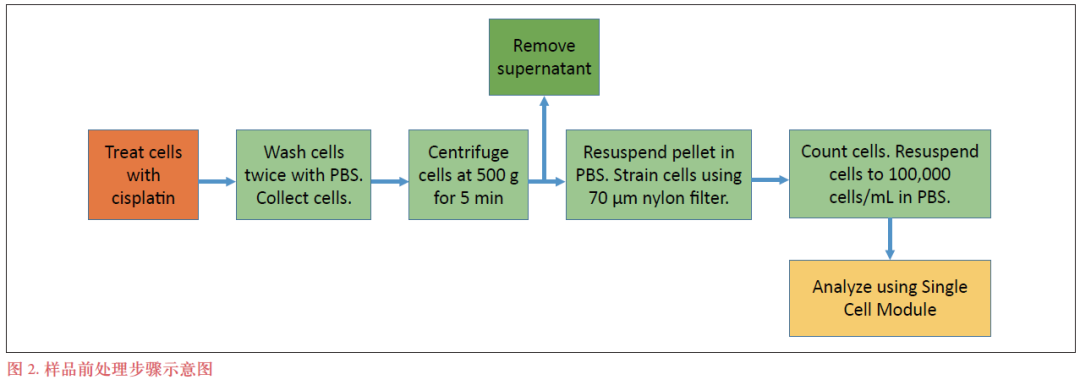 单细胞 ICP-MS 应用：评估卵巢癌细胞对顺铂的摄入