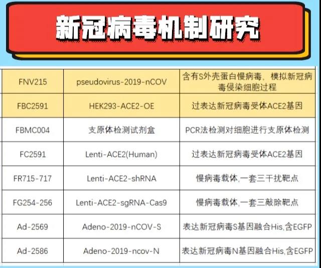 产品发布|新冠病毒假病毒产品