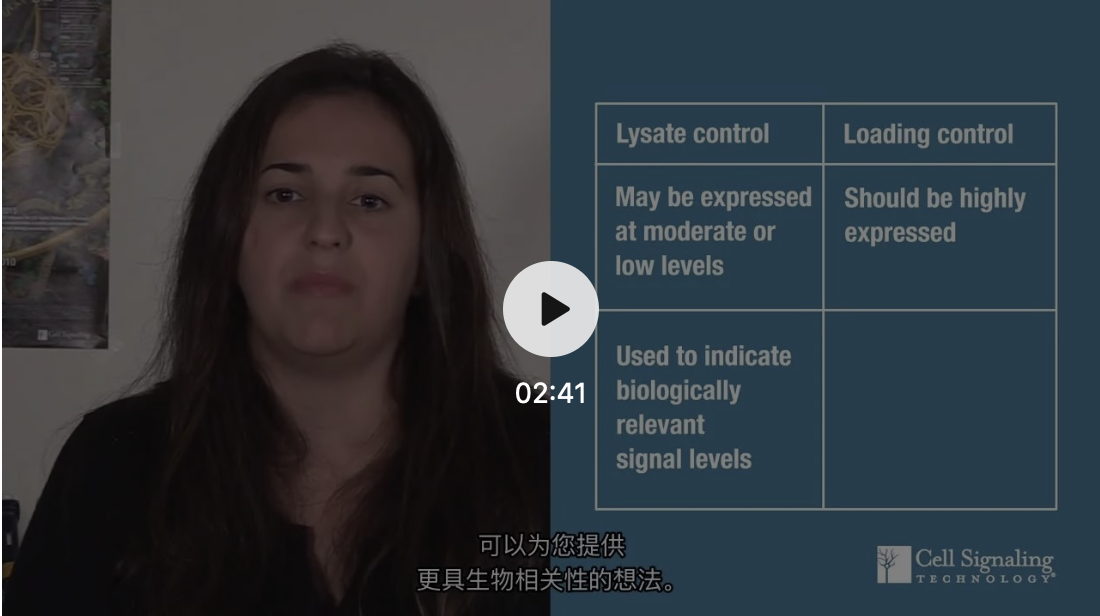 CST Tech Tips--WB实验设计：选择阳性对照