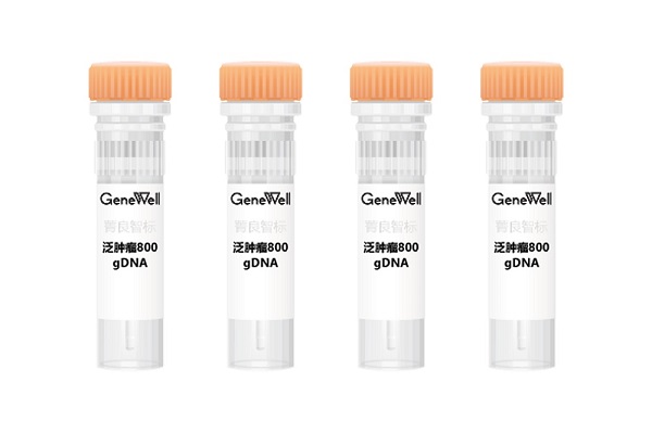 数据分享 | 泛肿瘤800 gDNA标准品带你了解两大平台检测结果差异