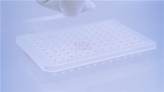 PCR封板膜 超高透明荧光定量PCR专用