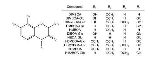 15893-52-4 丁布及其衍生物定制合成