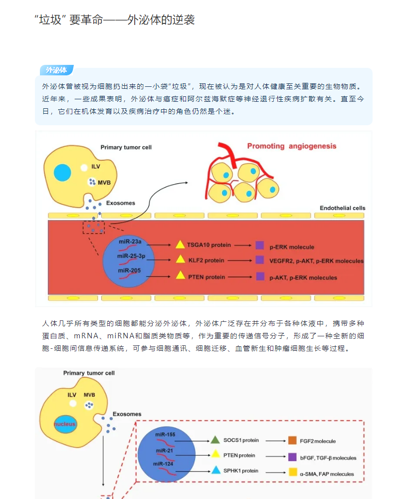 “垃圾” 要革命——外泌体的逆袭