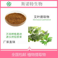 艾叶提取物艾叶速溶粉现货厂家批发