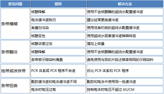 新冠病毒研究用水系列三:如何获得完美的核酸电泳条带
