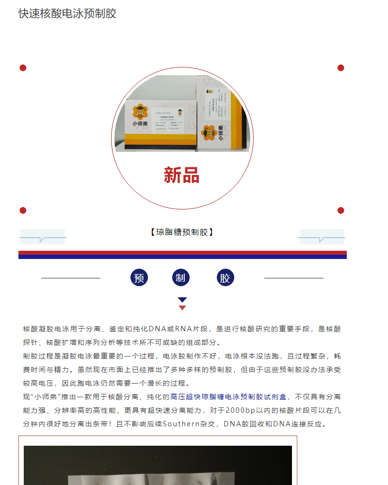 快速核酸电泳预制胶