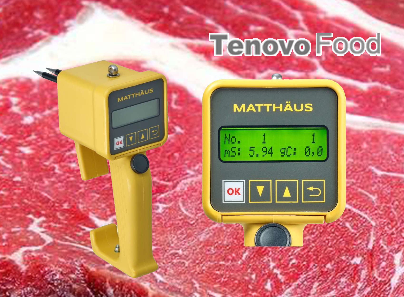 胴体肉质电导率测定仪德国MATTHAUS麦特斯中国LF-STAR LF-STAR