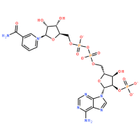 53-59-8/氧化型辅酶Ⅱ自由酸