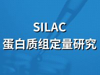 SILAC定量蛋白质组学分析
