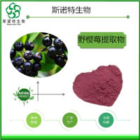 野樱莓提取物野樱莓粉水溶野樱梅喷雾干燥粉