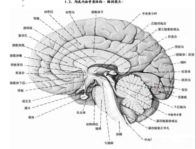 丁香园最新文章