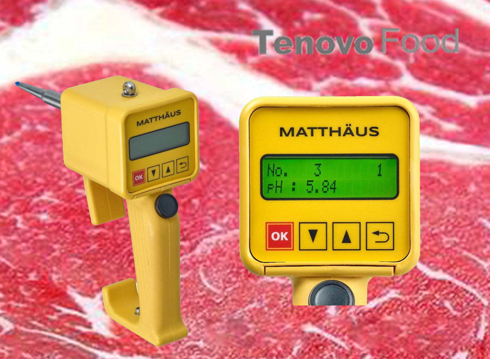 胴体肉质PH值直测仪 肉质PH值测定仪PH-STAR