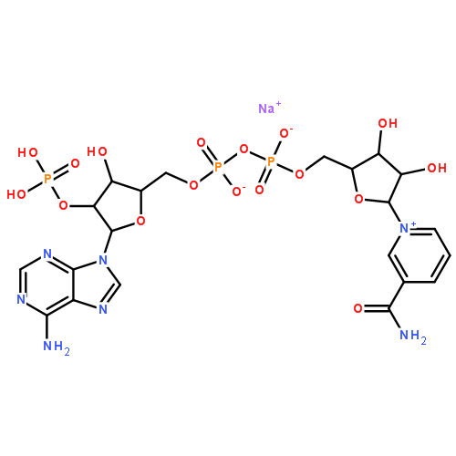 1184-16-3/氧化型辅酶Ⅱ单钠盐