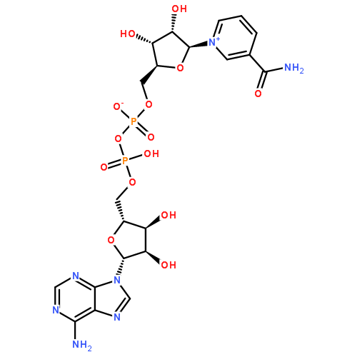 53-84-9/氧化型辅酶Ⅰ