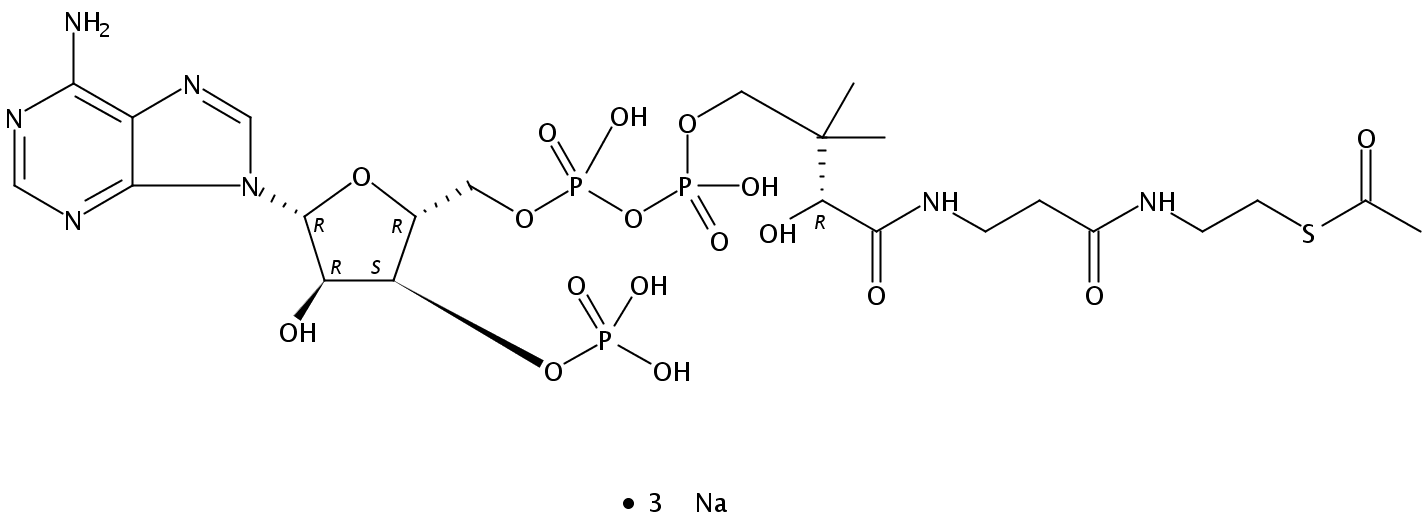 102029-73-2/乙酰辅酶A
