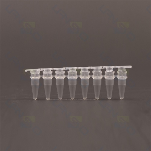 文献和实验图片1