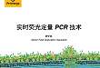 实时荧光定量 PCR 技术详解