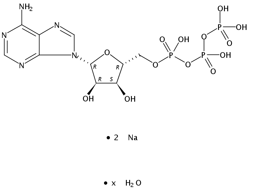 34369-07-8/5-腺苷三磷酸二钠盐水合物