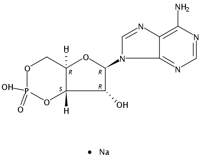 	37839-81-9/环磷酸腺苷钠盐