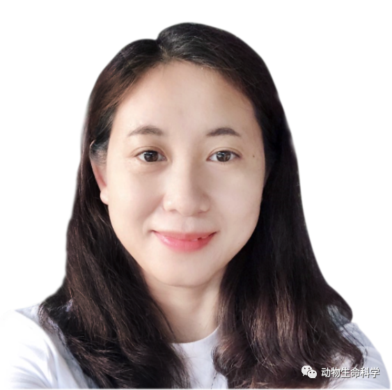 线上讲座：类器官模型（3D organoid）在新冠与肿瘤研究中的应用