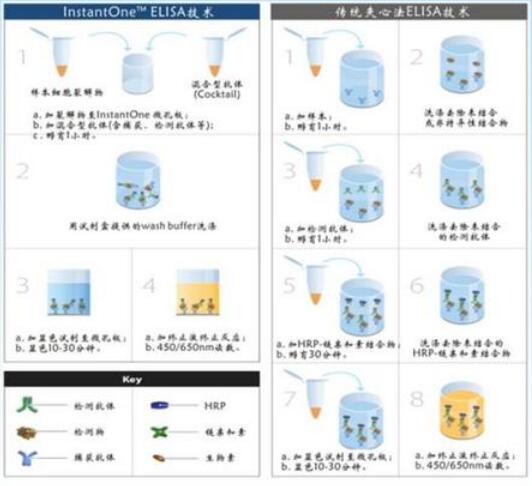 FOR Golgi membrane protein 1 E