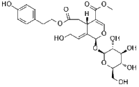 10-Hydroxyligstroside厂家