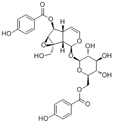 6'-O-p-Hydroxybenzoylcatalposide价格