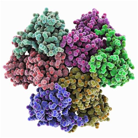 9002-07-7/重组胰蛋白酶