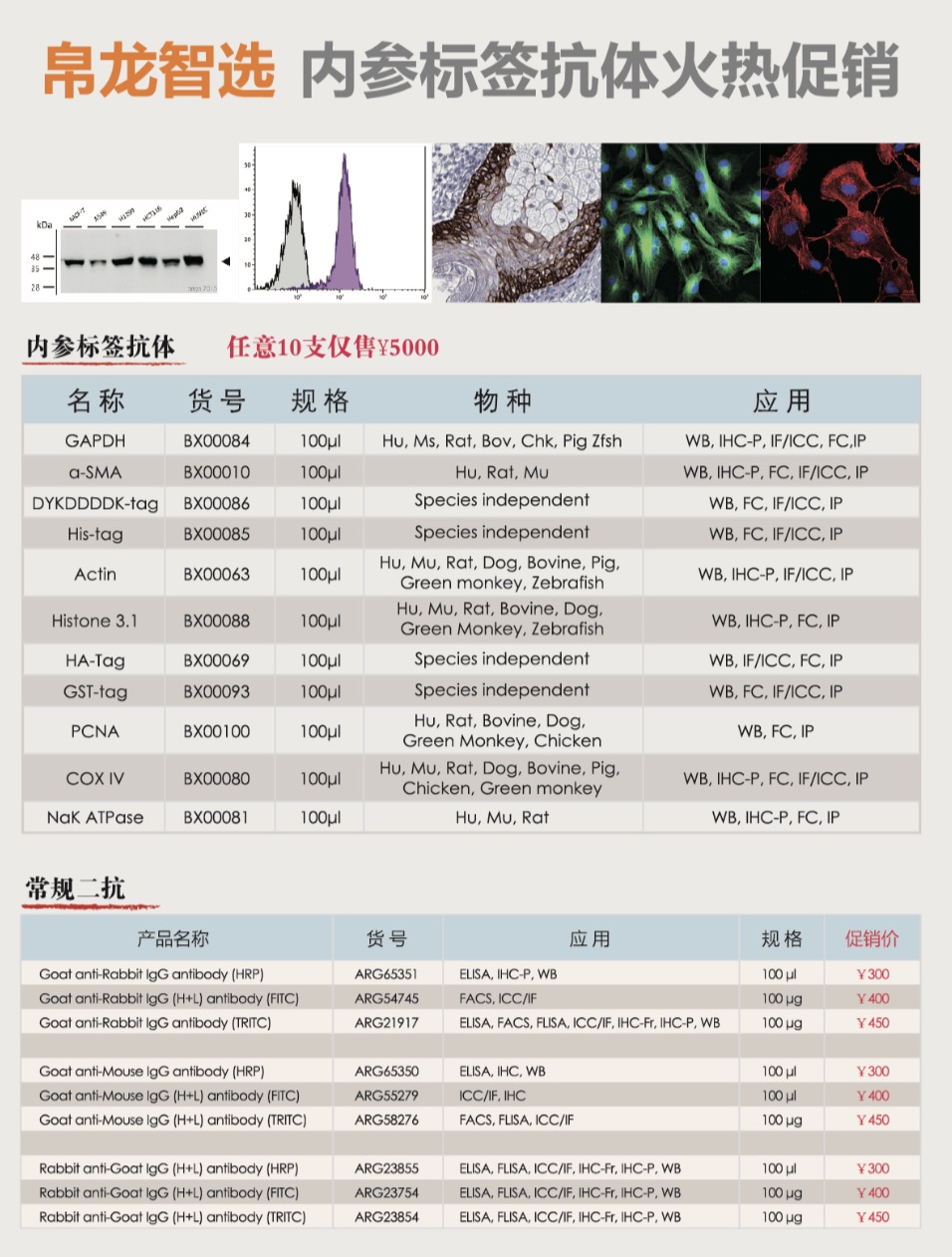 帛龙智选：内参标签抗体大促销！