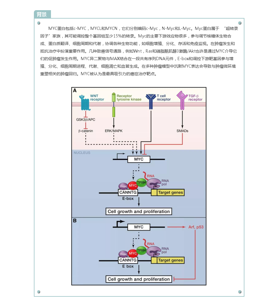 【产品推介】MYC诊断标准品