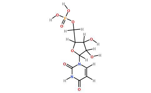58-97-9/5-尿苷一磷酸