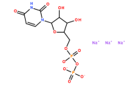 21931-53-3/5-尿苷二磷酸钠盐