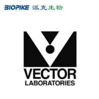 VECTASHIELD Antifade Mounting Medium