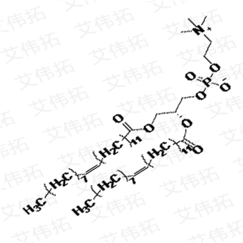 布比卡因磷脂（供注射用），高纯合成磷脂DEPC,DPPG,三