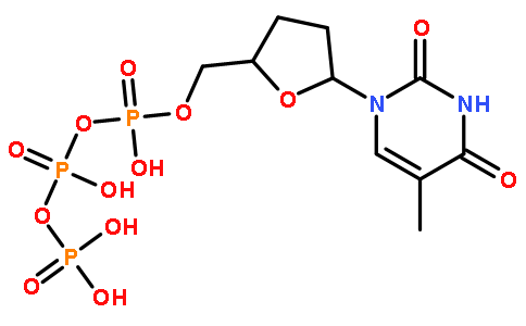 18423-43-3/2′-脱氧胸苷-5′-三磷酸三钠盐