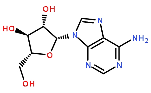 5536-17-4/阿糖腺苷