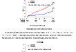 12个月后的氯吡格雷与阿司匹林单药抗血小板疗效比较