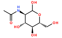 	7512-17-6/N-乙酰-D-氨基葡萄糖