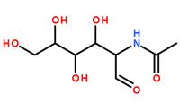 	7772-94-3/N-乙酰-D-甘露糖胺
