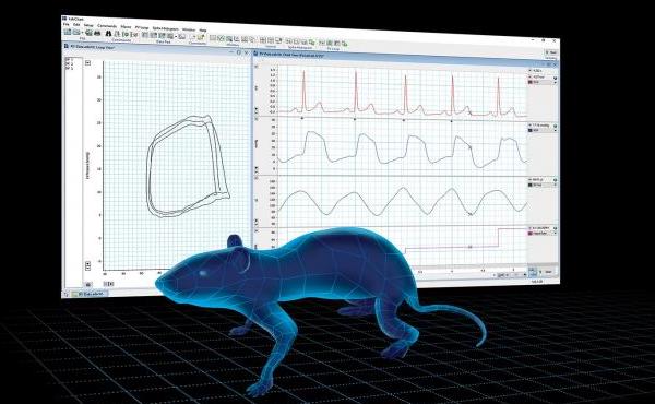 埃德的直播课（五）：肺动脉高压模型制备和检测方法实验概述