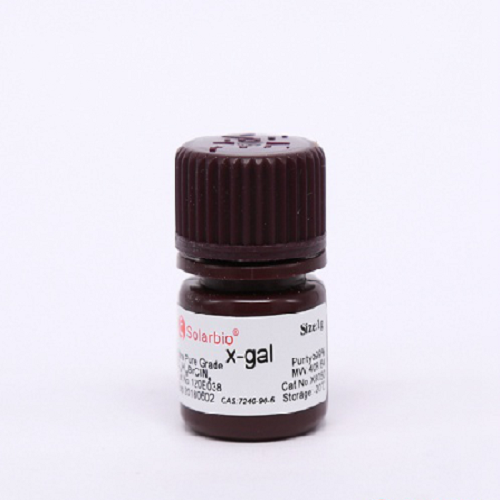X-gal 5-溴-4-氯-3-吲哚-β-D-半乳糖苷