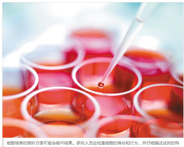 小鼠骨髓单核细胞注意事项