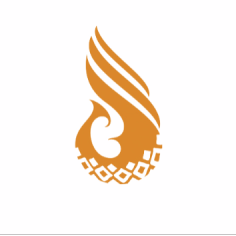 广西国际壮医医院