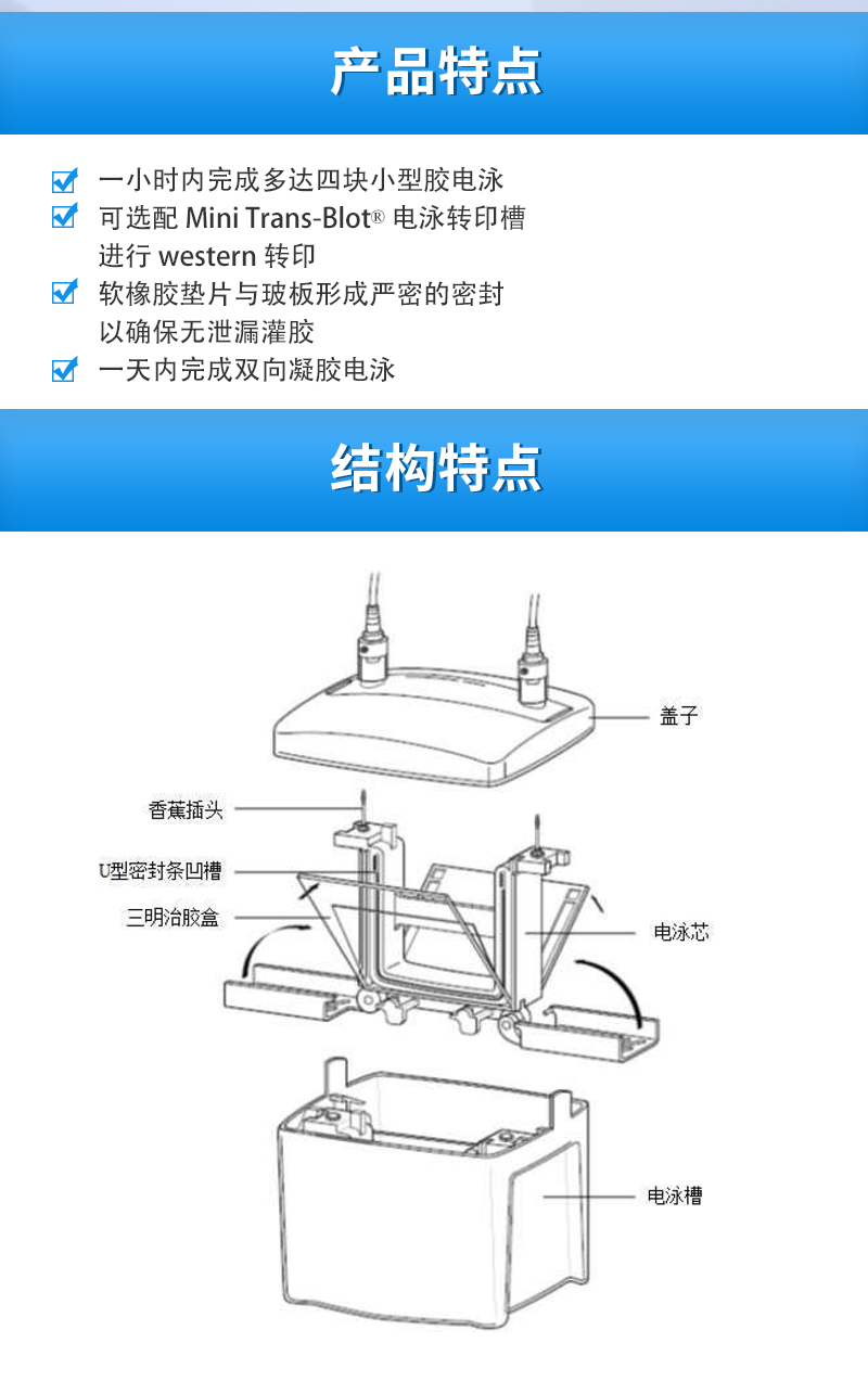 伯乐Mini-PROTEAN Tetra小型垂直电泳槽产品特点
