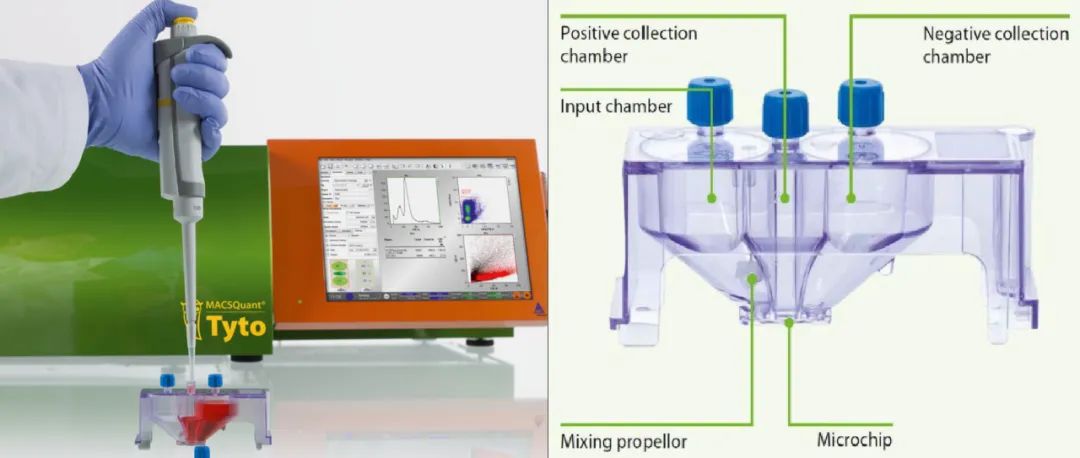 从神经干细胞分化命运到退行性疾病，神经再生与修复可能不再遥远